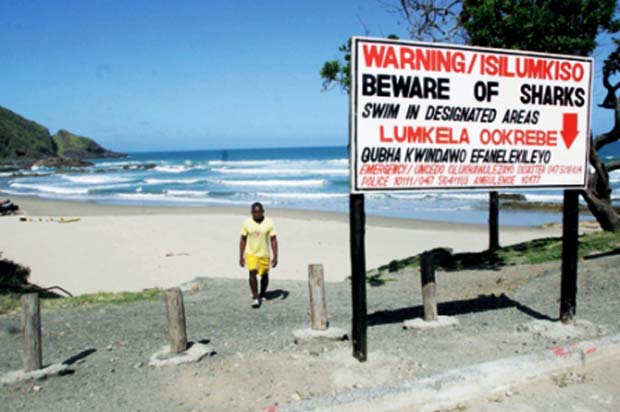 Port St Johns had the highest number of shark-related deaths in the world.